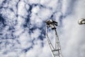 Carnival of Nice, Flowers` battle. Clouds on clear blue sky with an acrobat in businessman suit