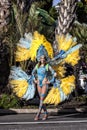 Carnival of Nice, Flowers` battle. Samba dancers