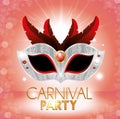 Carnival party cute mask red feathers pink bright background