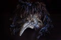 The Carnival Plague Doctor Venetian Mask with colored feathers