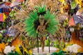 Carnival 2014 - Rio de Janeiro Royalty Free Stock Photo