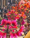 Carnival in Sint Maarten