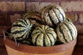 Carnival squash Royalty Free Stock Photo