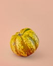 Carnival squash close up isolated on light pink-beige background.