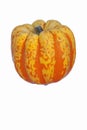 Carnival squash Royalty Free Stock Photo