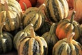 Carnival squash Royalty Free Stock Photo