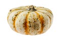 Carnival squash isolated on white background Royalty Free Stock Photo