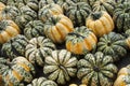 Carnival Squash Royalty Free Stock Photo