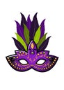 Mardi Gras carnival mask with feathers.. Mardi Gras.Carnival. Fat Tuesday. Royalty Free Stock Photo