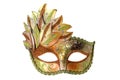 Carnival Venetian mask Royalty Free Stock Photo