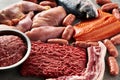 Carnivore diet or low carb diet background concept. Raw animal meat products beef, minced pork and sausages, chicken Royalty Free Stock Photo