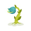 Carnivore plant, fantastic blue flower vector Illustration on a white background