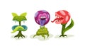 Carnivore Plants or Monster Flowers as Fantastic Flora Vector Set