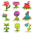 Carnivore plants set, colorful fantastic malicious killer flowers with teeth vector Illustrations on a white background