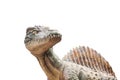 Carnivorous Dinosaur from side. Royalty Free Stock Photo