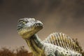 Carnivorous Dinosaur from side. Royalty Free Stock Photo