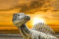 Carnivorous Dinosaur from side. Royalty Free Stock Photo