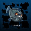 Carnivorous piranha grins on a dark background Royalty Free Stock Photo