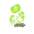 Carnivorous plant. Cartoons plant freehand green stock vector illustration