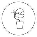 Carnivorous plant Flytrap Monster with teeths in pot icon in circle round outline black color vector illustration flat style image Royalty Free Stock Photo