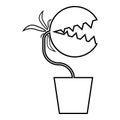 Carnivorous plant Flytrap Monster with teeths in pot icon outline black color vector illustration flat style image Royalty Free Stock Photo