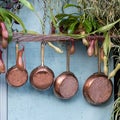 Carnivorous plants alongside kitchen pans