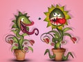 Carnivorous plants and flies