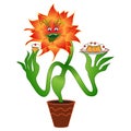 Carnivorous Vegetarian flower, glutton, animated .Vector Figure E Royalty Free Stock Photo