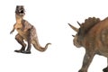 Tyrannosaurus rex fighting versus triceratops on white background