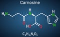 Carnosine dipeptide molecule. It is anticonvulsant, antioxidant, antineoplastic agent, human metabolite. Structural chemical Royalty Free Stock Photo