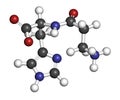 Carnosine (L-carnosine) food supplement molecule. 3D rendering. Atoms are represented as spheres with conventional color coding: