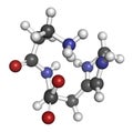 Carnosine molecule. Has antioxidant properties; commonly used in food supplements. Atoms are represented as spheres with