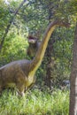 Carnotaur attacking brachiosaurus Royalty Free Stock Photo