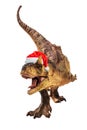 Carnotaurus Dinosaur with Christmas hat on white background