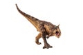 Carnotaurus Dinosaur on white background