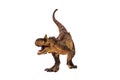 Carnotaurus Dinosaur on white background