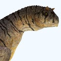 Carnotaurus sastrei Dinosaur Head