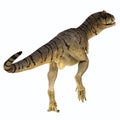 Carnotaurus sastrei Dinosaur Tail