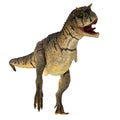 Carnotaurus sastrei Dinosaur on White