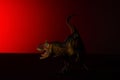 Carnotaurus with spot light on the head and red light