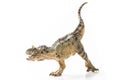 Carnotaurus, on white background Royalty Free Stock Photo