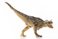 Carnotaurus, on white background