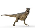 Carnotaurus in a white background