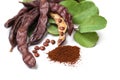 Carob beans. Healthy organic sweet carob pods with seeds and leaves and carob powder