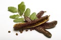 Carob (Ceratonia siliqua) with leaf