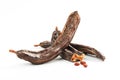 Carob carob fruit and seeds on white background. Isolate.