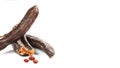 Carob carob fruit and seeds on white background. Isolate. Organic carob beans, a healthy alternative to cocoa.