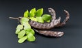 Carob. Healthy organic sweet carob pods with seeds and leaves close up. Healthy eating, food background. Organic vegan food Royalty Free Stock Photo