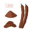 Carob pods, beans, powder. Superfood. Vegetarian decaffeinated food. Flat style.