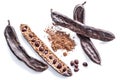 Carob pods and carob powder on the white background Royalty Free Stock Photo
